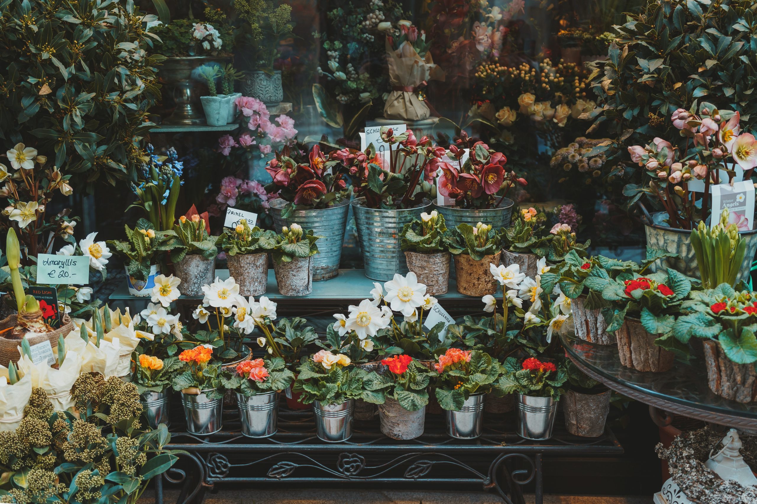 《花店：關於那些花所傳遞的故事》讀後感：與李歐納・科仁一同走入花店，品味花店的日常風景