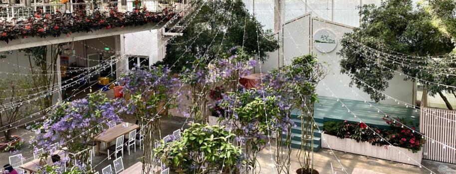 香草菲菲 || 走訪宜蘭唯美天空步道，在香氣繚繞的溫室花園裡，品味漫生活