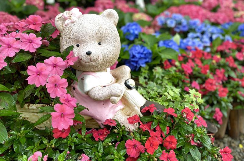 小熊與花