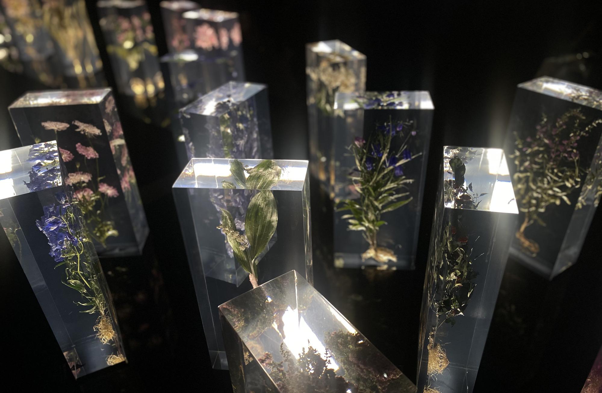 凝結時光，封存花朵瞬息之美：日本花藝大師東信展《繁花．時敘》絢麗登場！